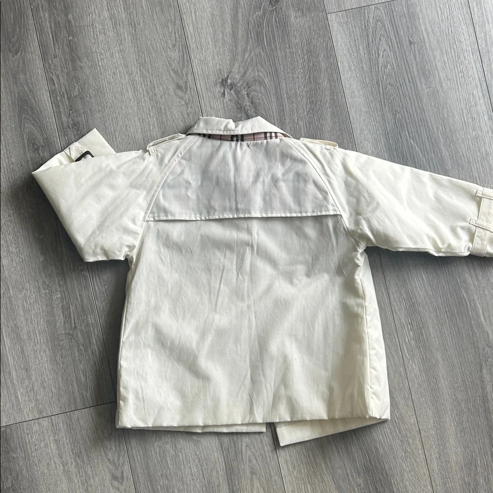 Burberry stylish pea